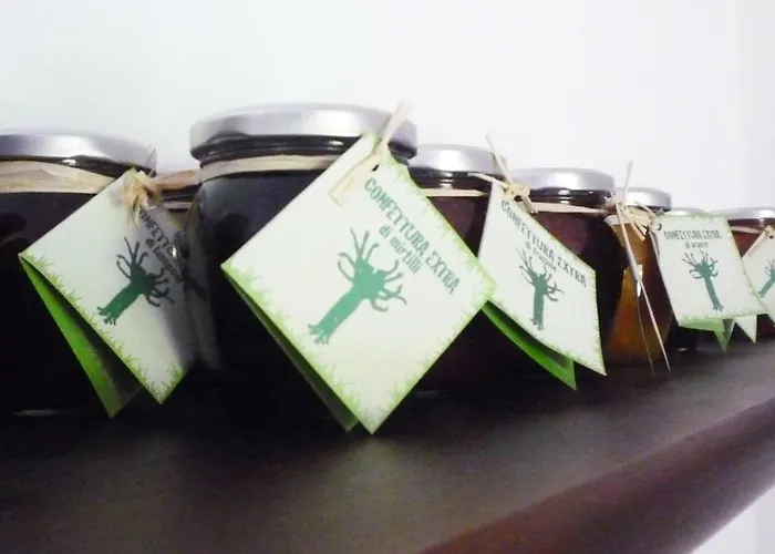 Albonico לינה וארוחת בוקר לאליו